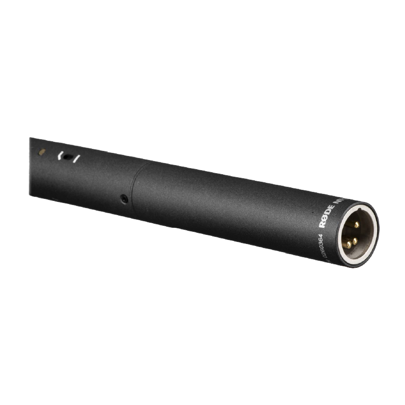 Microfono boom Rode Ntg2