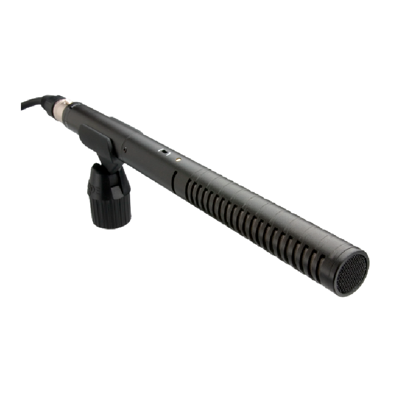 Microfono boom Rode Ntg2